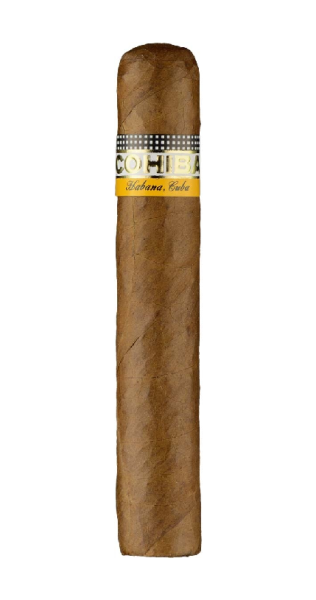 Cohiba Robusto